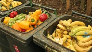 Schnappschuss, pixelio.de