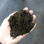 Sauberste Siebschnitte mit dem neuen 3D COMBI Kompost Sieb von SPALECK – hier 0-10 mm Siebschnitt