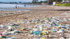 Eintrag von Mikroplastik in die Umwelt soll verringert werden