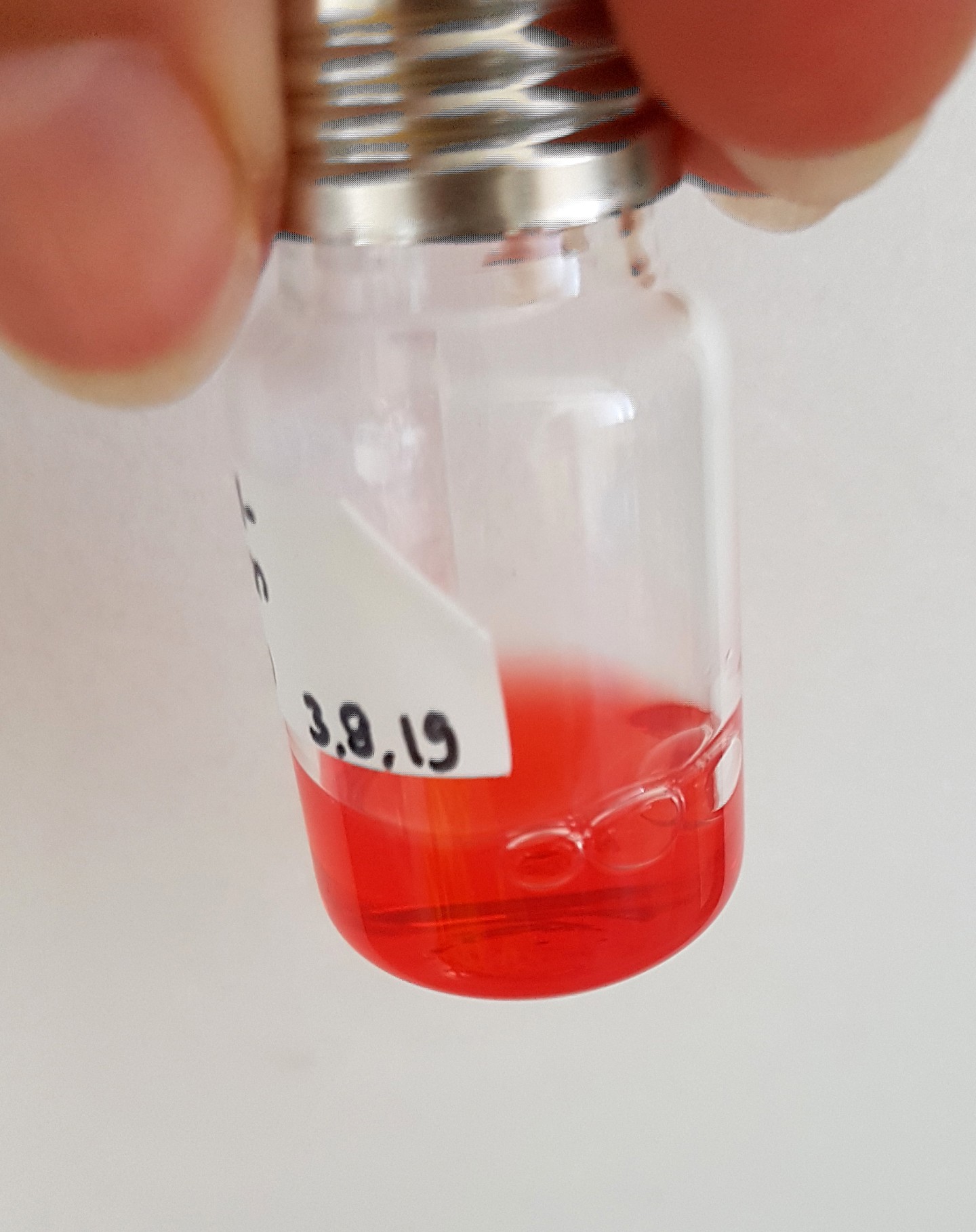 In der auf die Elektrolyse folgenden Fermentation wird Ameisensäure zu einem wertschöpfenden terpenoiden Farbstoff umgesetzt. Bild: Fraunhofer IGB