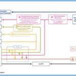 Plastic Recycling and Recovery Routes