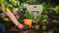 15 Jahre Kapselrecycling in Österreich