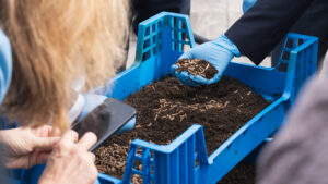 Insektenbioraffinerie erfolgreich aufgebaut
