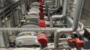 Brikettieren in Torrefizierungsanlage