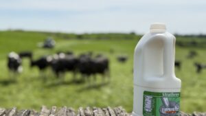 Erema steigert Wirtschaftlichkeit im Post Consumer Recycling