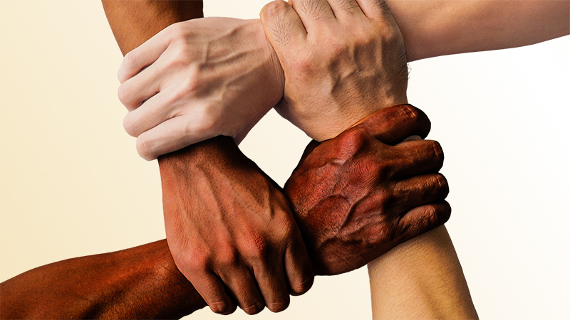 Interne Champions für den Wandel