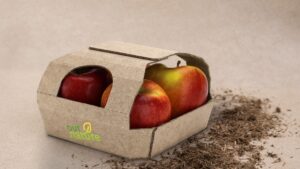 Neue Ökobilanz zu Silphie-Papier