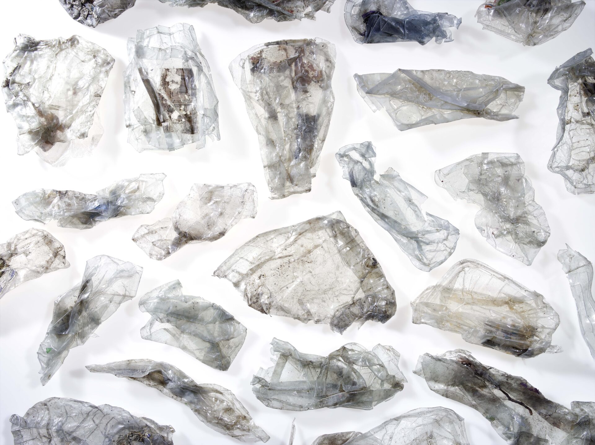 Aufbau des Tray-to-Tray-Recycling-Marktes