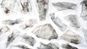 Aufbau des Tray-to-Tray-Recycling-Marktes