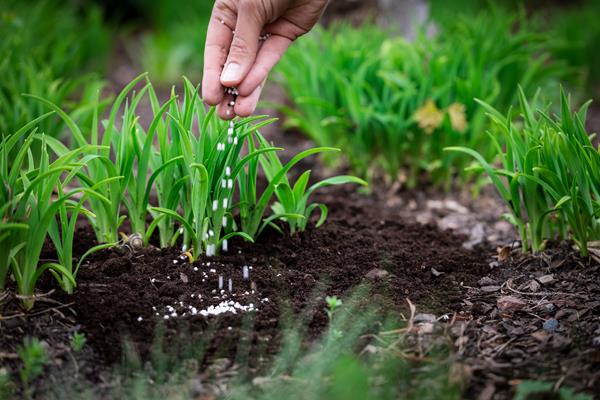 EU macht sich trotz Krieg weiter abhängig von Russland