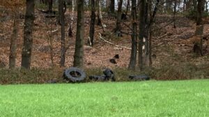 Initiative ZARE warnt vor illegaler Altreifenentsorgung