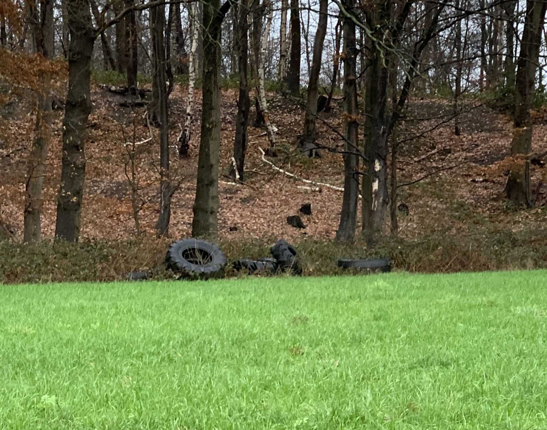 Initiative ZARE warnt vor illegaler Altreifenentsorgung