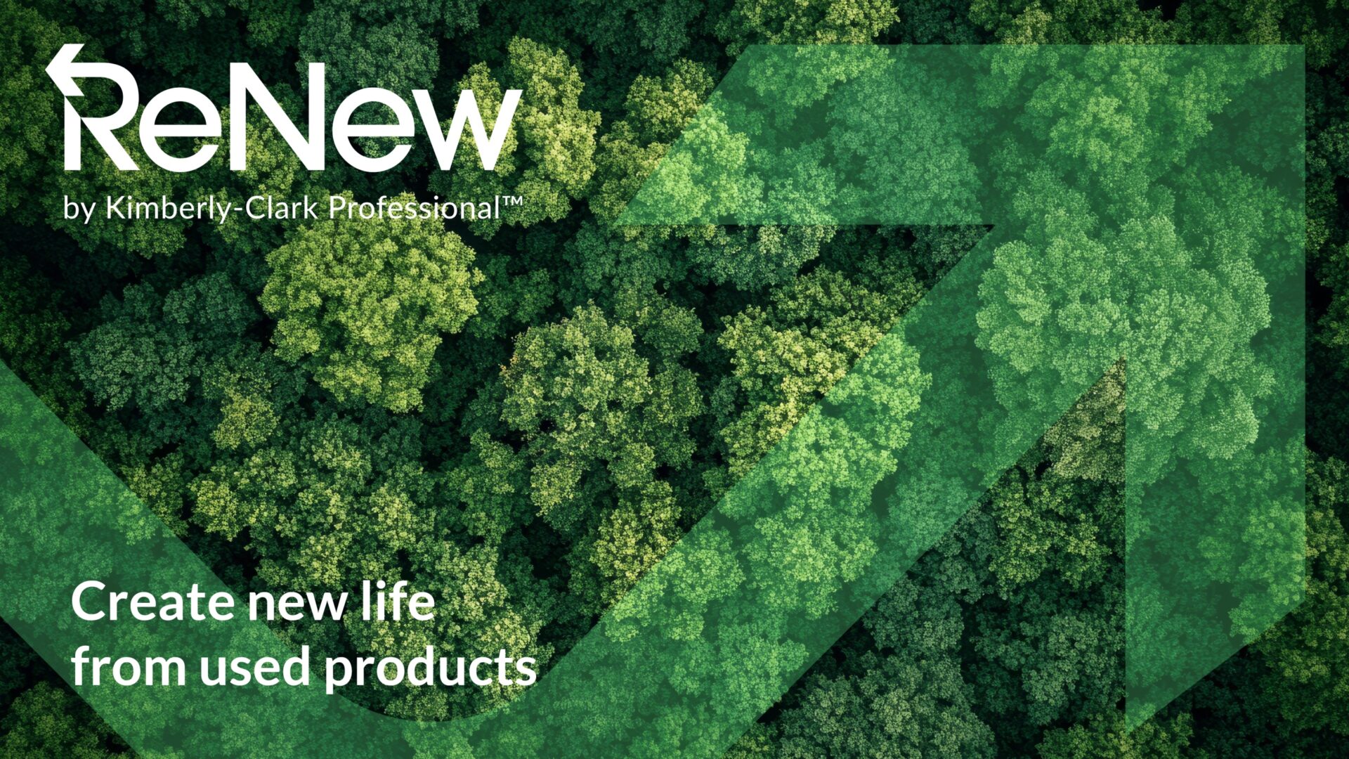 Luftaufnahme eines grünen Waldes mit dem Renew-Logo von Kimberly-Clark Professional und dem Slogan „Create new life from used products“.