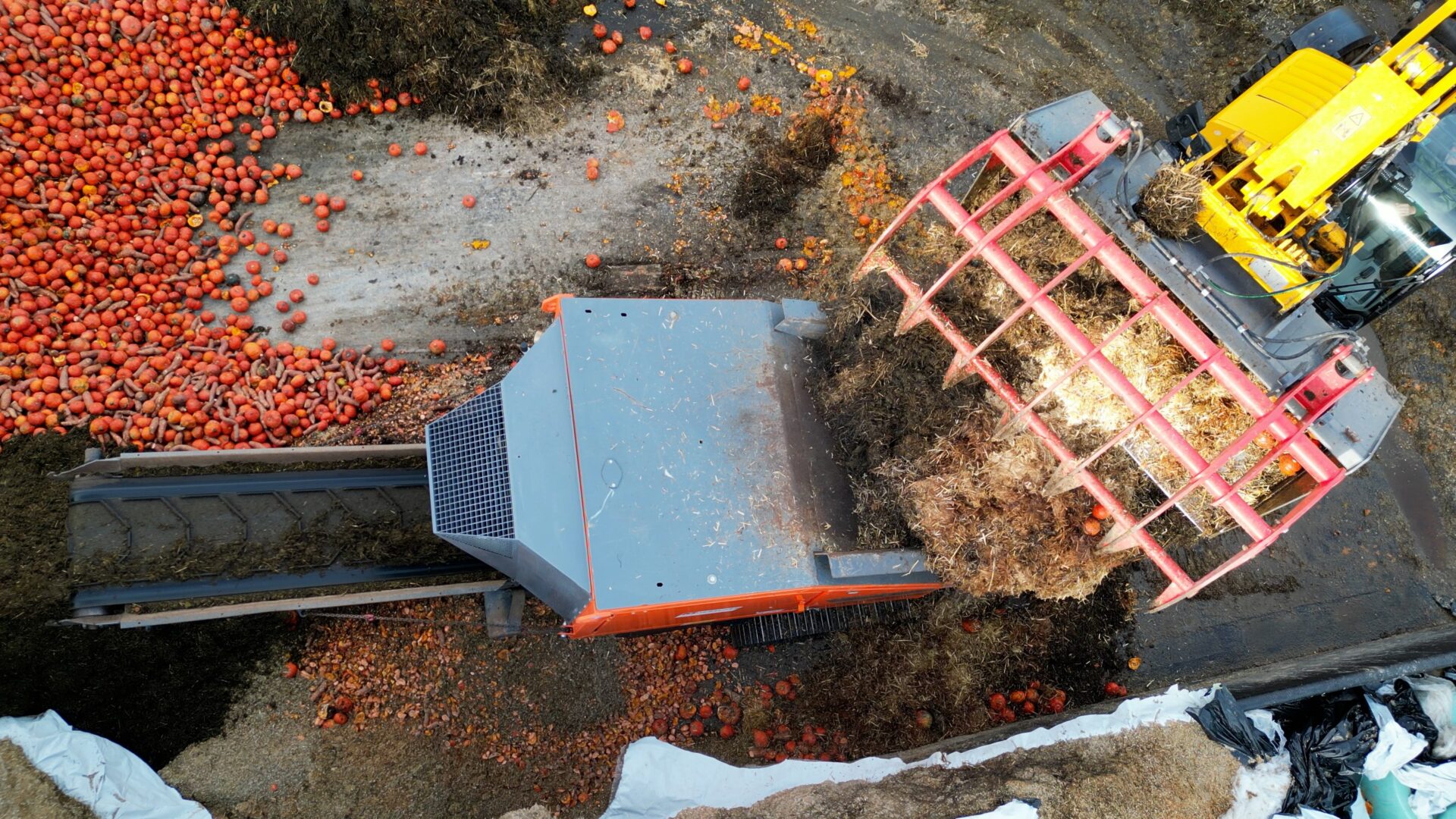Aus Pferdemist wird Bioenergie