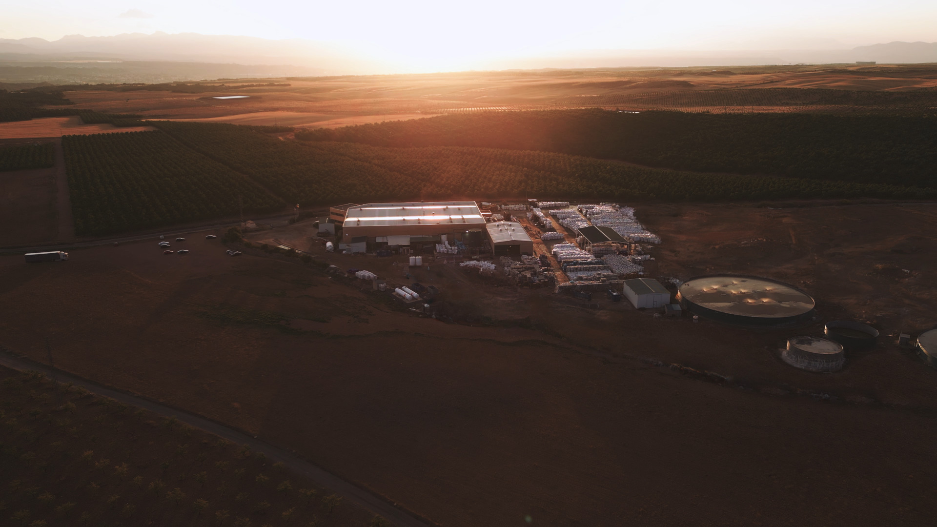 Tray-to-Tray-Recycling PET-Schalen