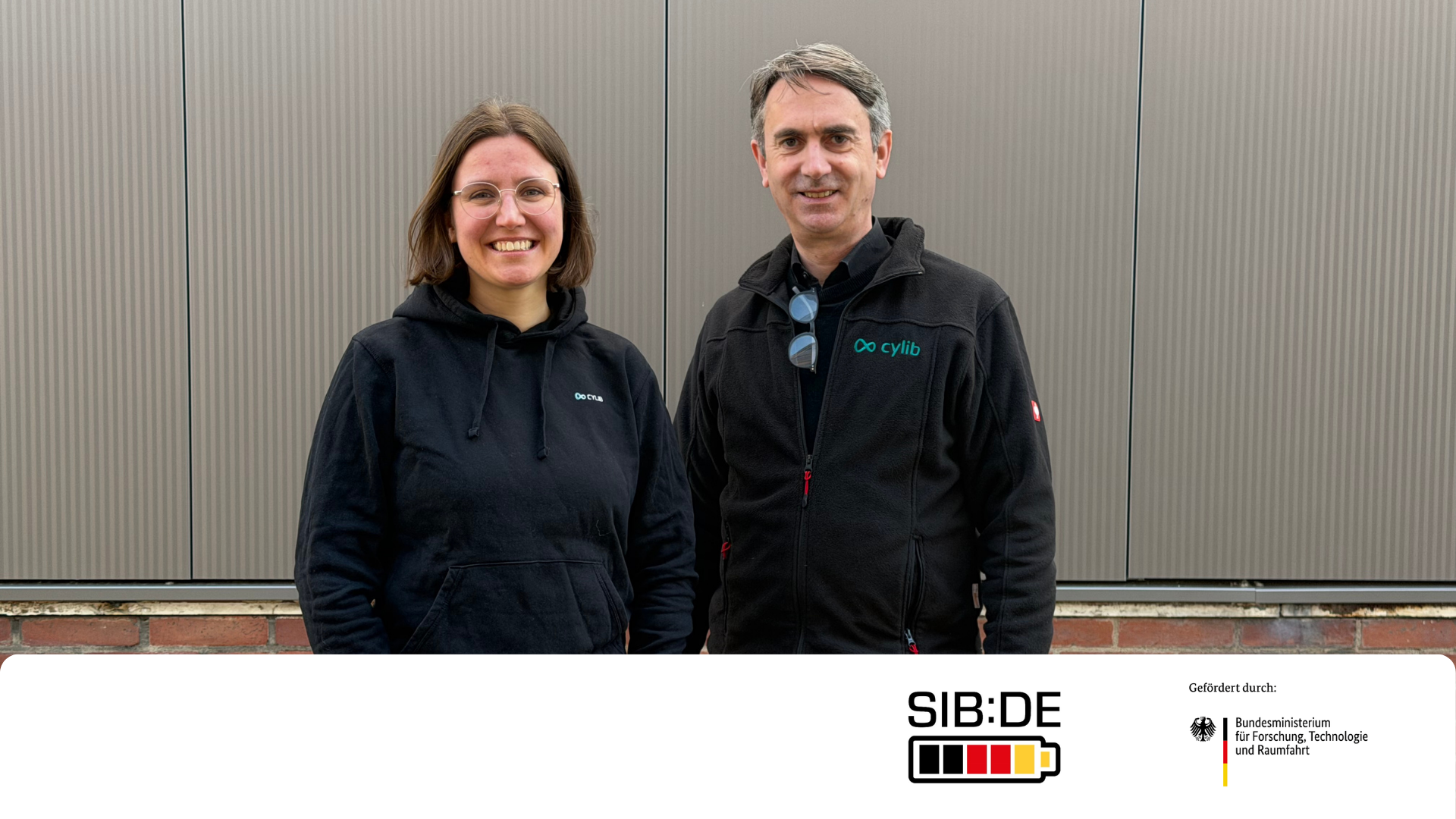 Natrium-Ionen-Batterien Recycling